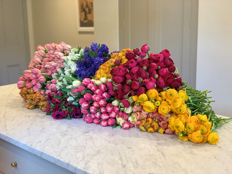 Luxury Stems