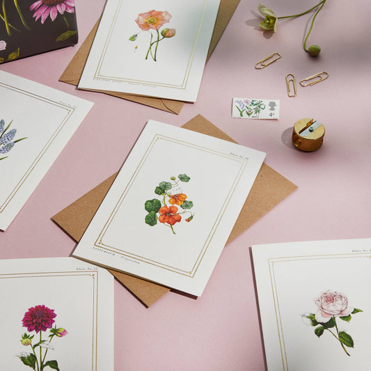 Nasturtium Botanical Card
