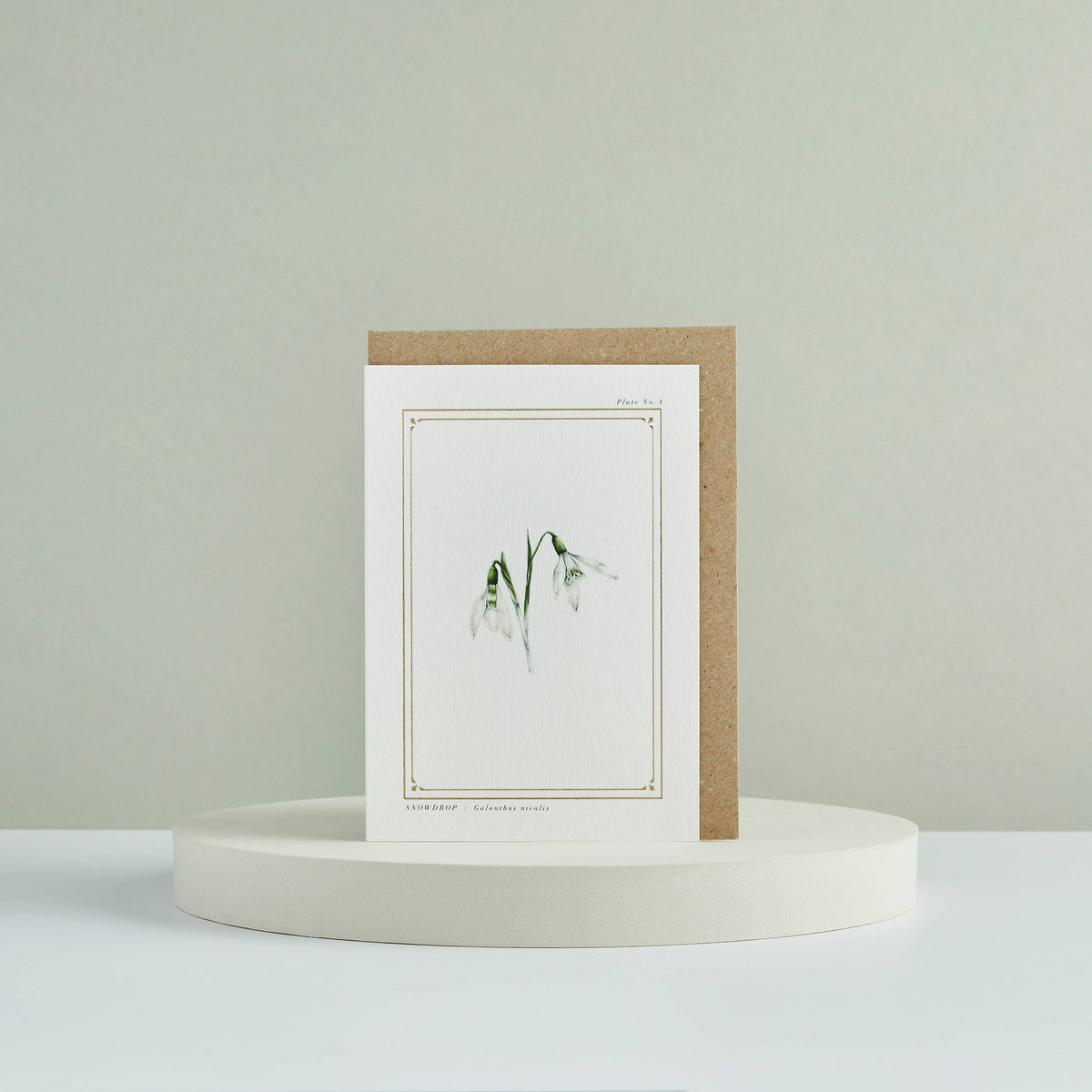 Snowdrop botanical festive greeting card by Catherine Lewis Design
