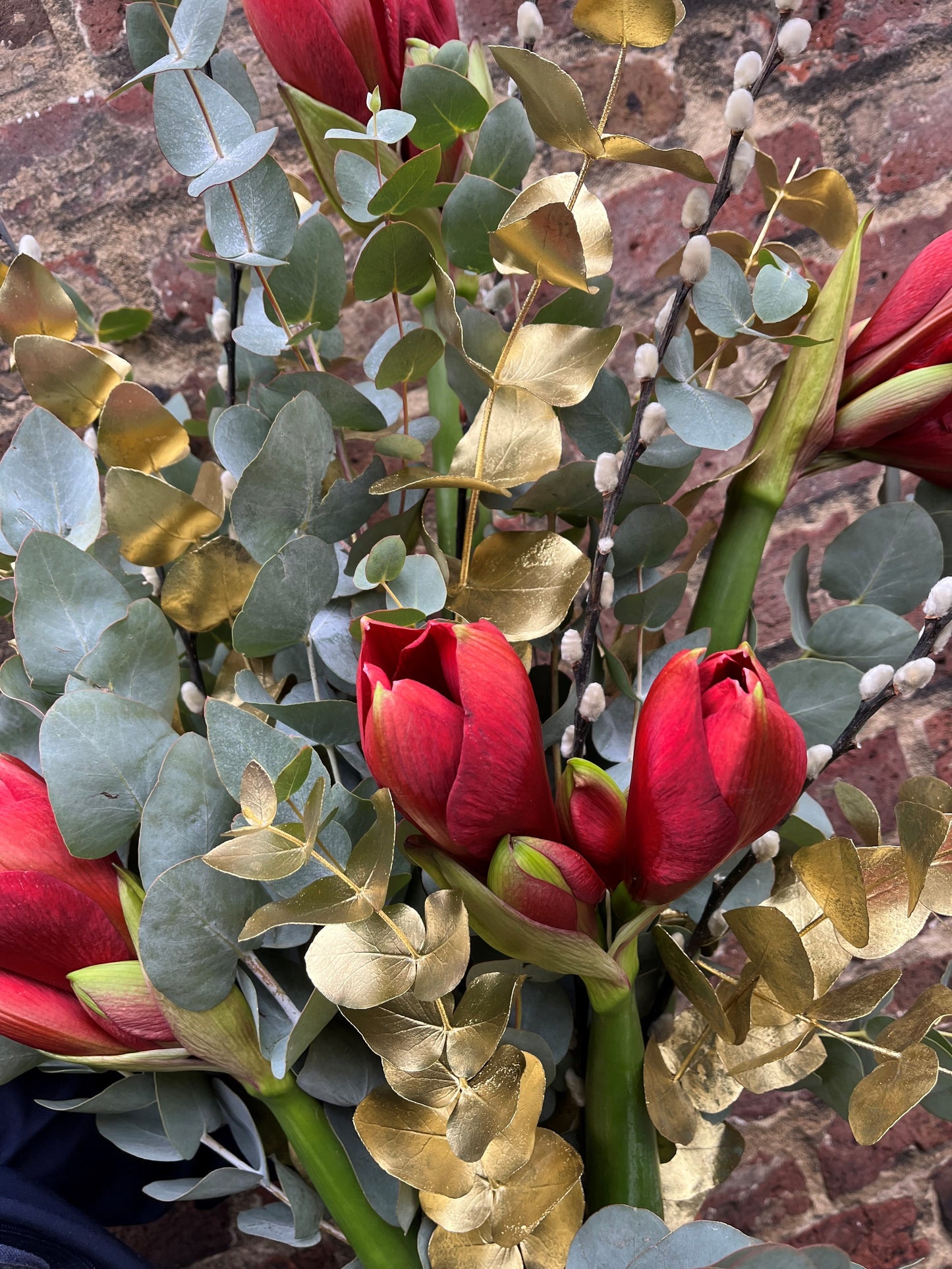 Amaryllis, pussy willow, eucalyptus and a touch of gold arrangement