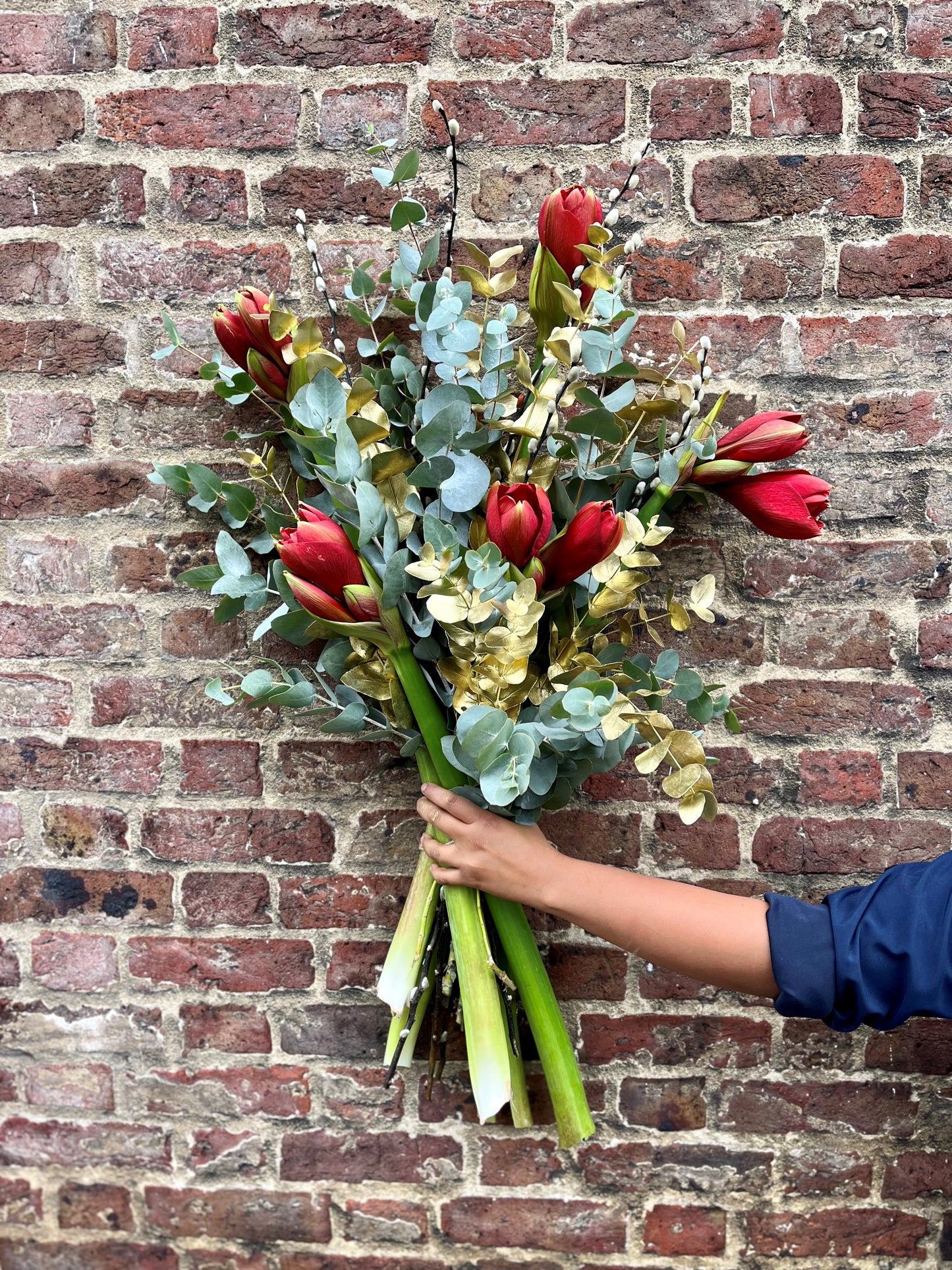 Amaryllis, pussy willow, eucalyptus and a touch of gold arrangement