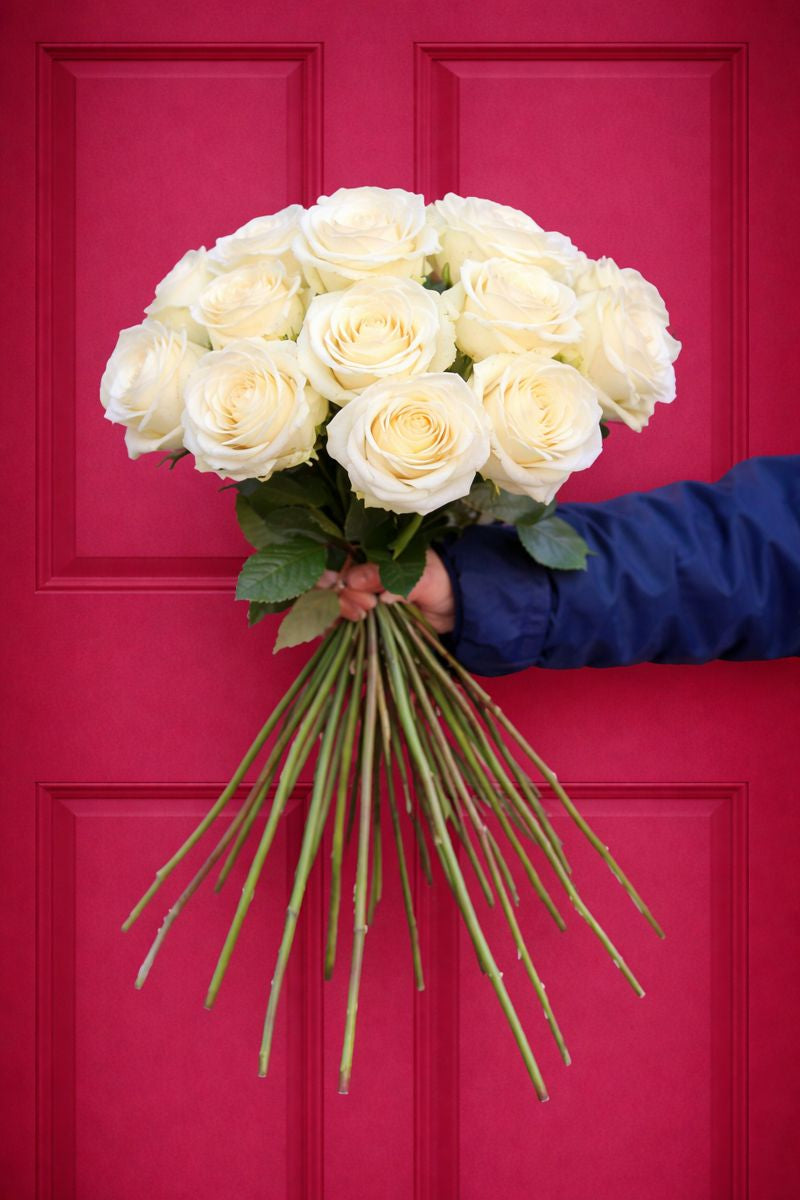 'Pure Love' White Roses