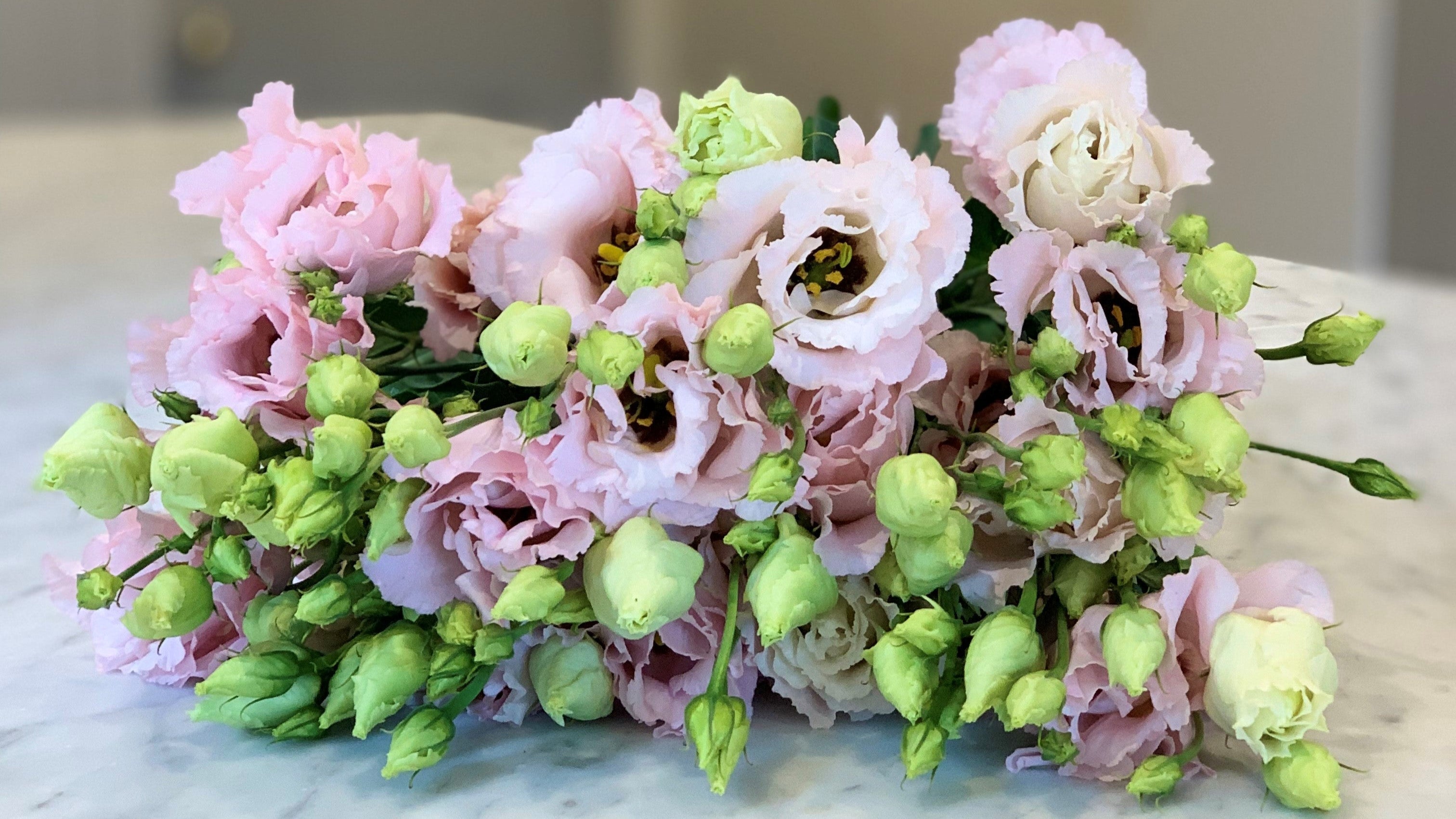 Bouquet of pink flowers with green buds on a marble surface