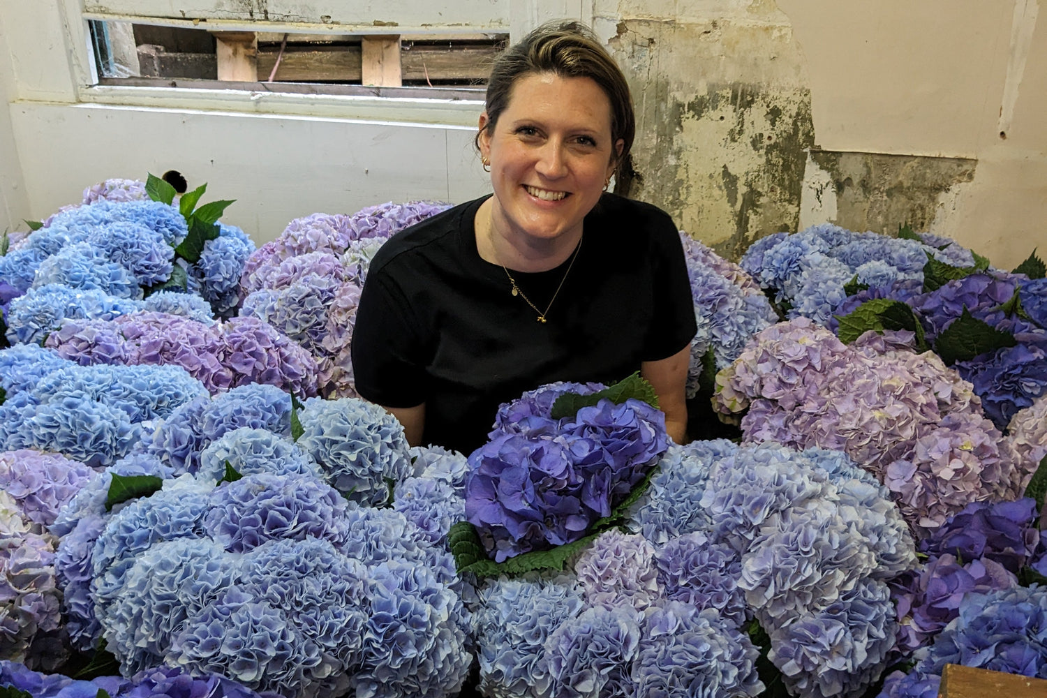 Woman sitting among large blue hydrangeas in a room with a window.