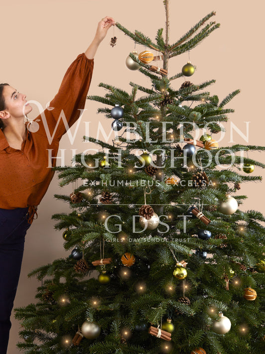 Premium Quality Nordmann Fir Christmas Tree (Wimbledon High School)