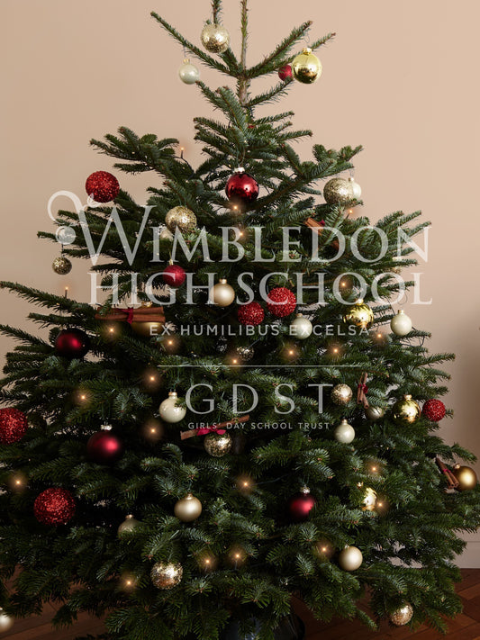 Super-Grade Quality Nordmann Fir Christmas Tree (Wimbledon High School)