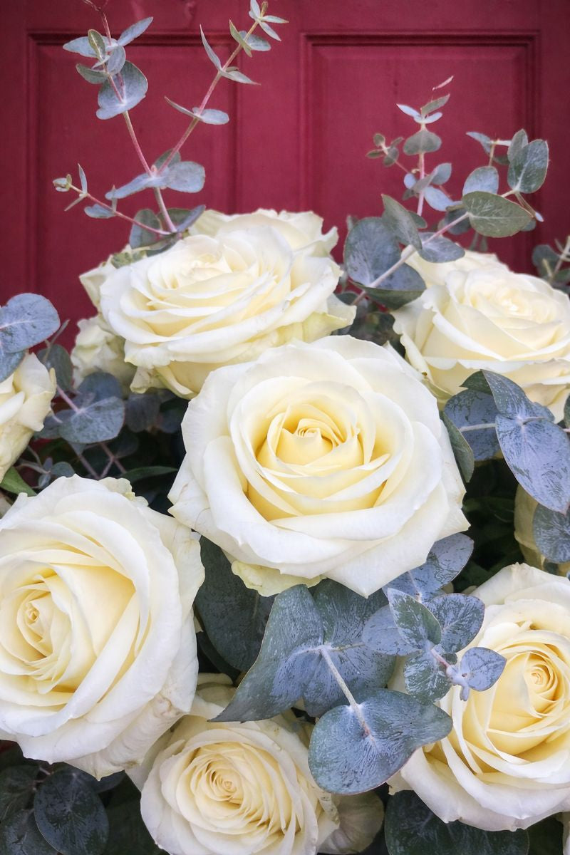 'Pure Love' White Roses with Eucalyptus