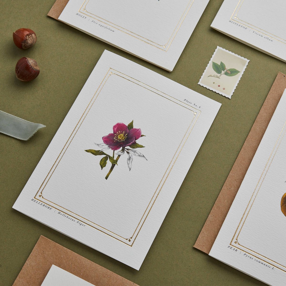 Hellebore Botanical Festive Card
