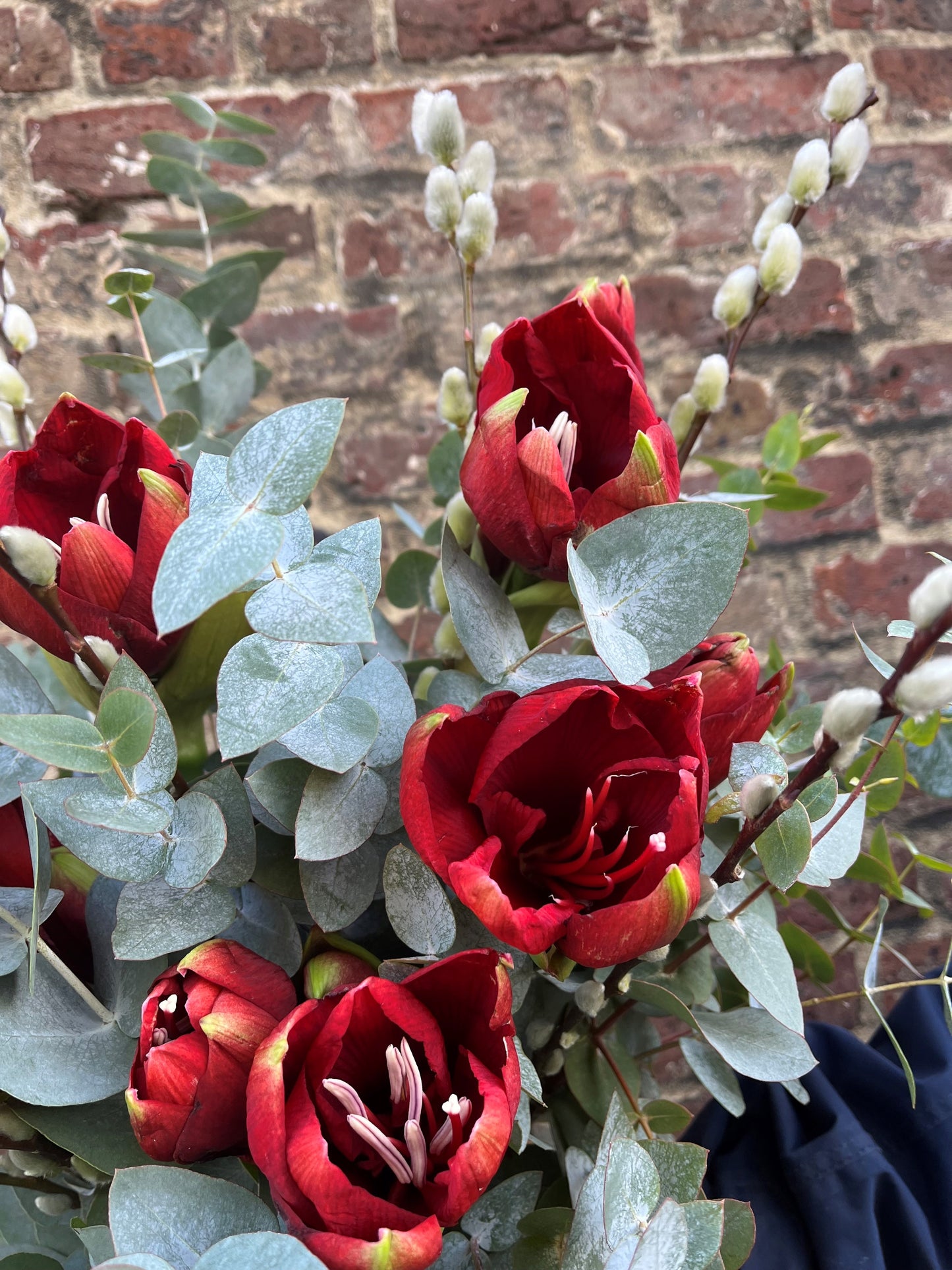 Amaryllis, pussy willow and eucalyptus arrangement