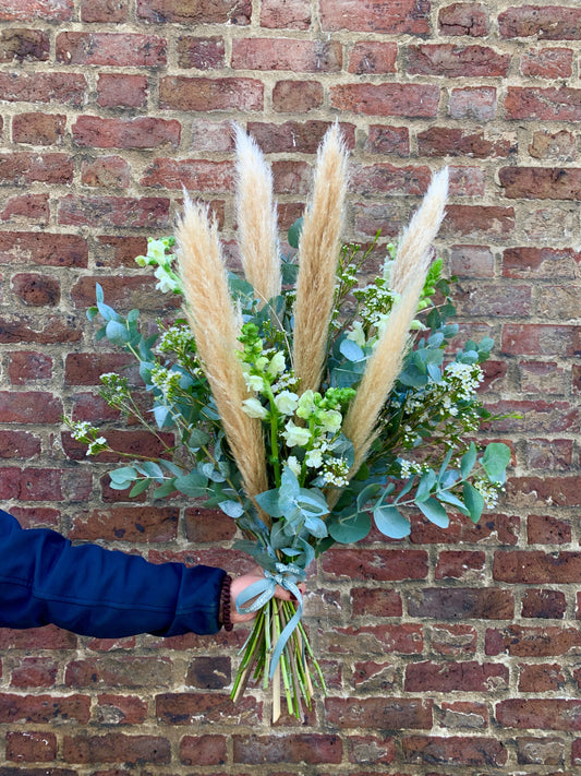 Natural Pampas Grass Mixed Bunch