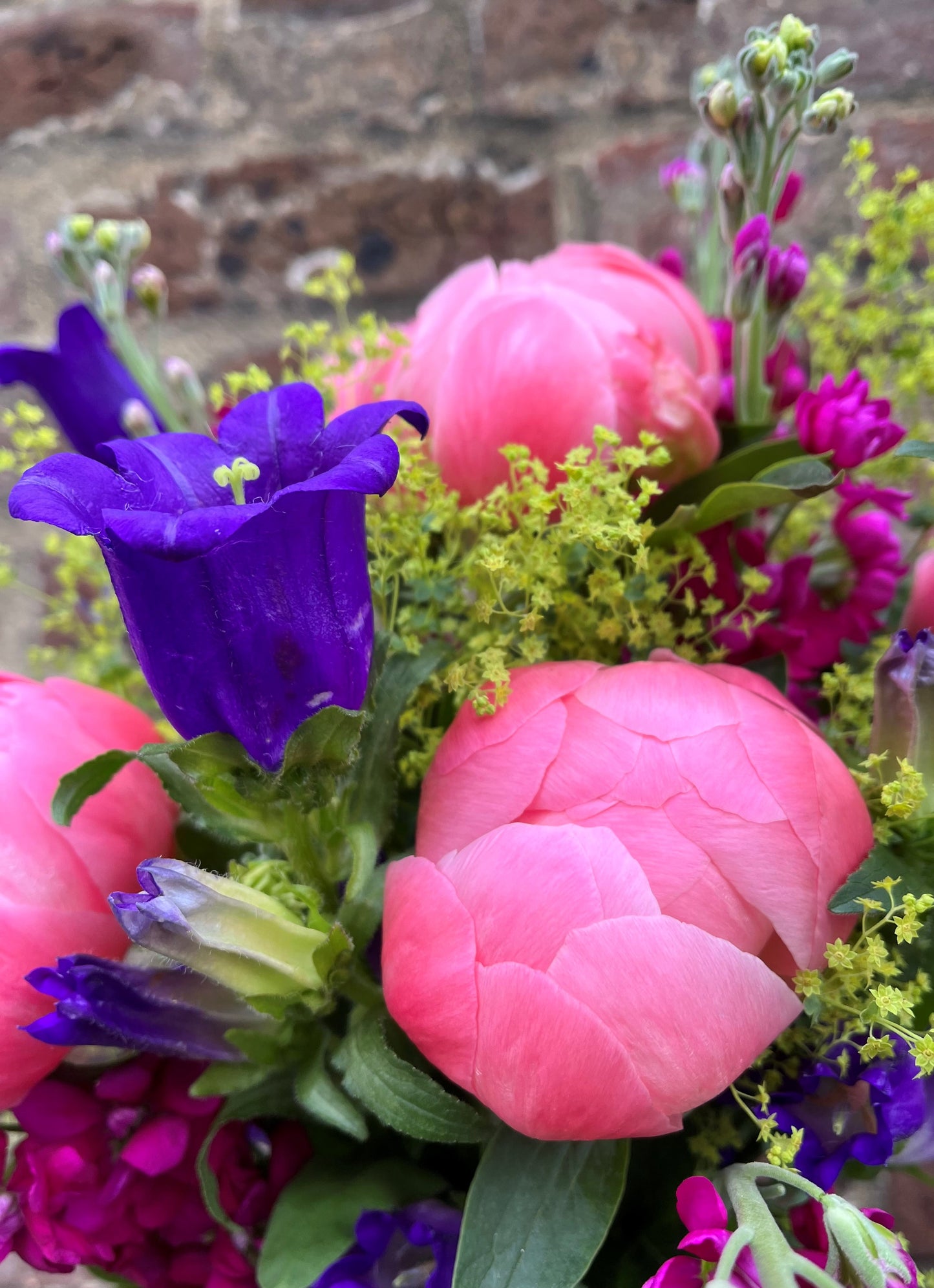 Our Pick of the Peony Bunch