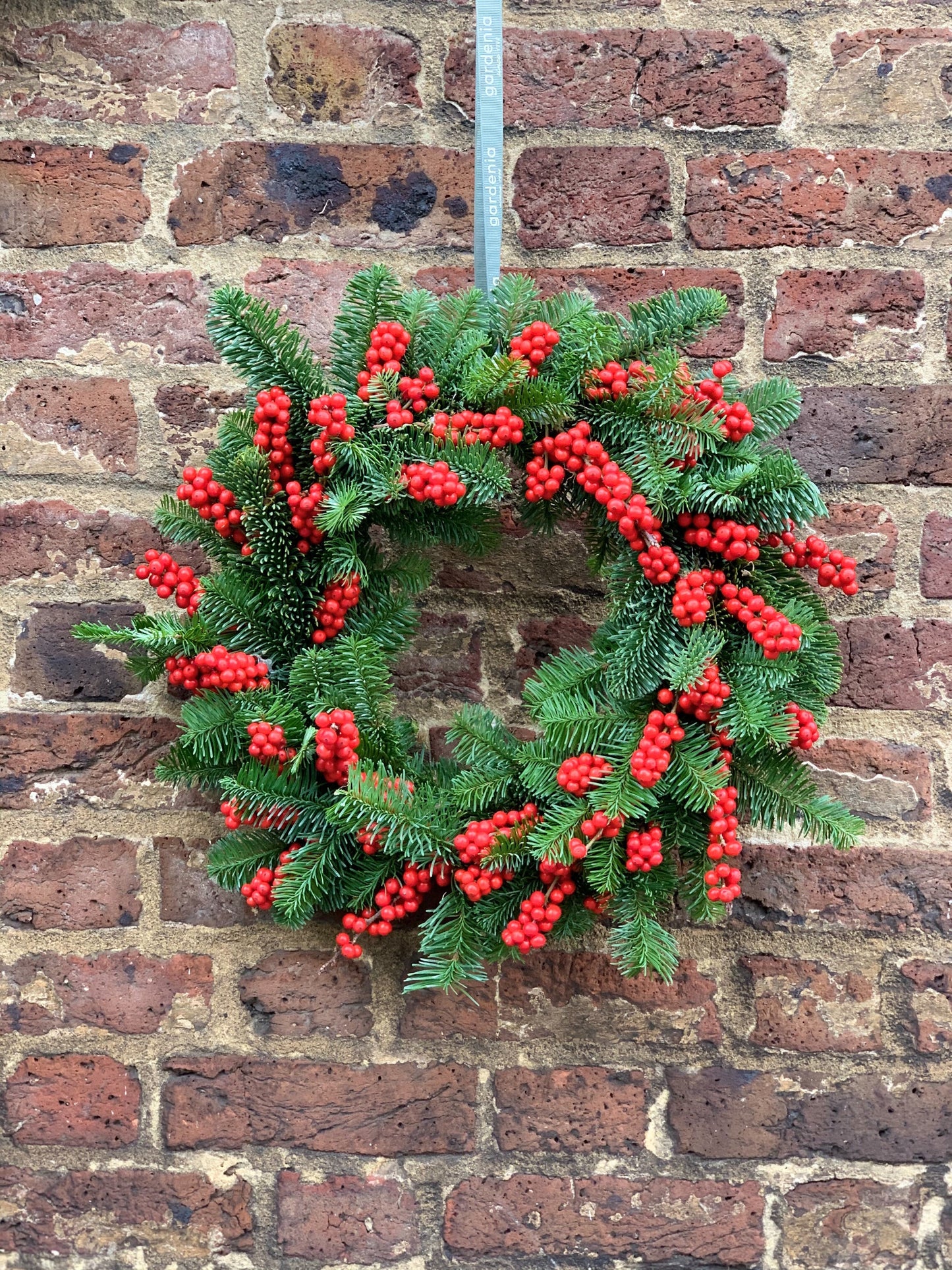 Fresh pine & ilex berry wreath