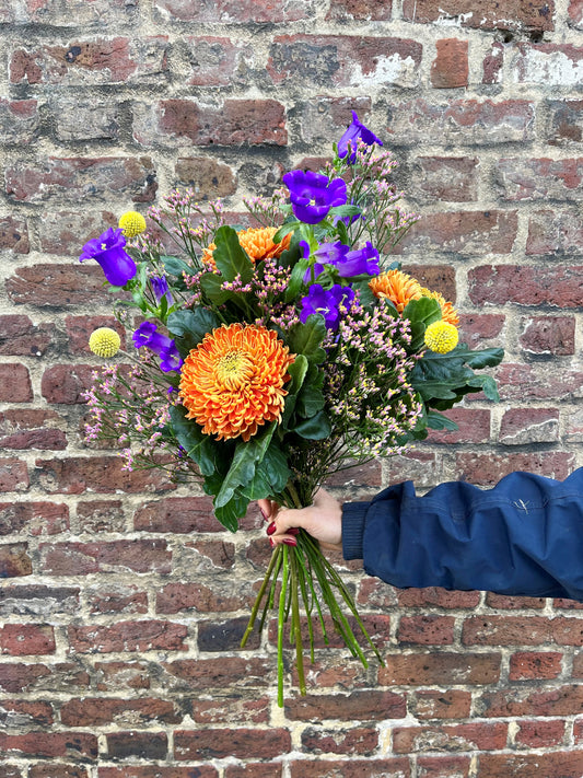 Seasonal Bold & Bright Mixed Bunch