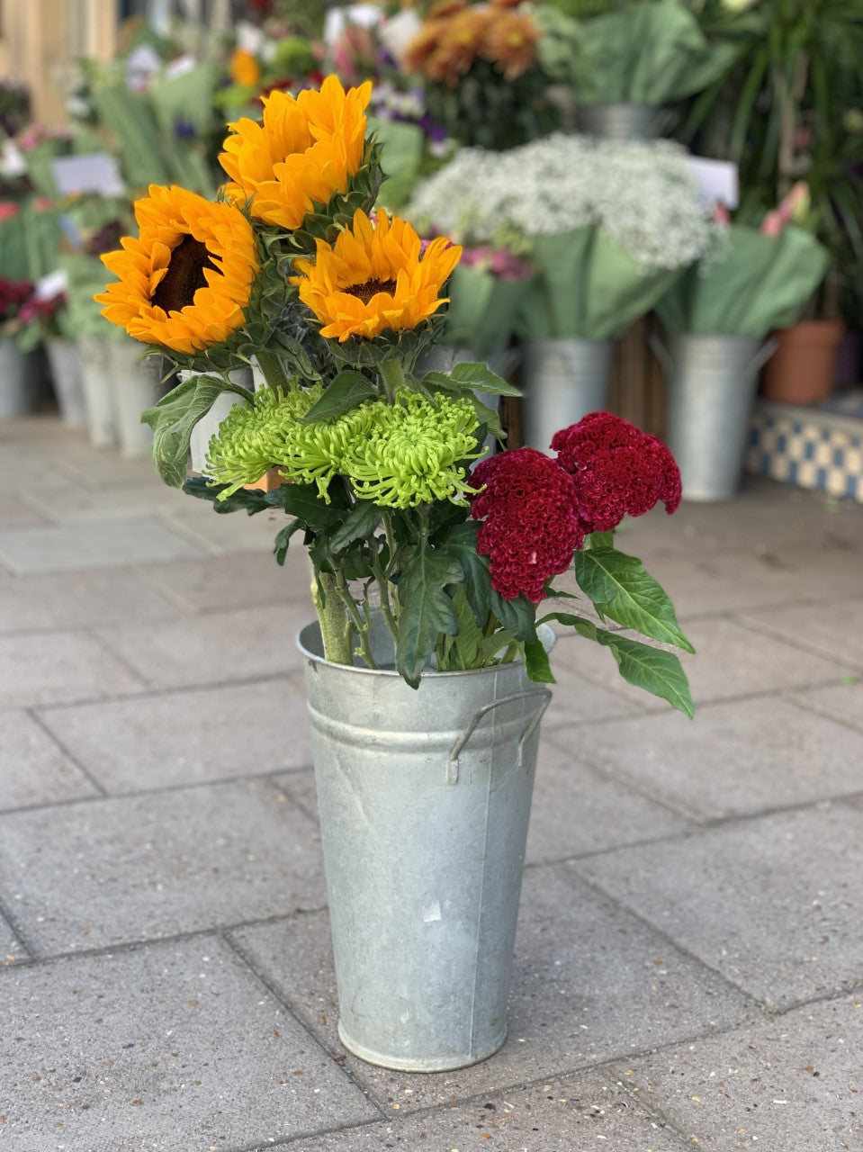 Summer Sunflower bundle