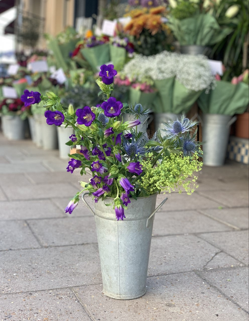 Wild flower bundle