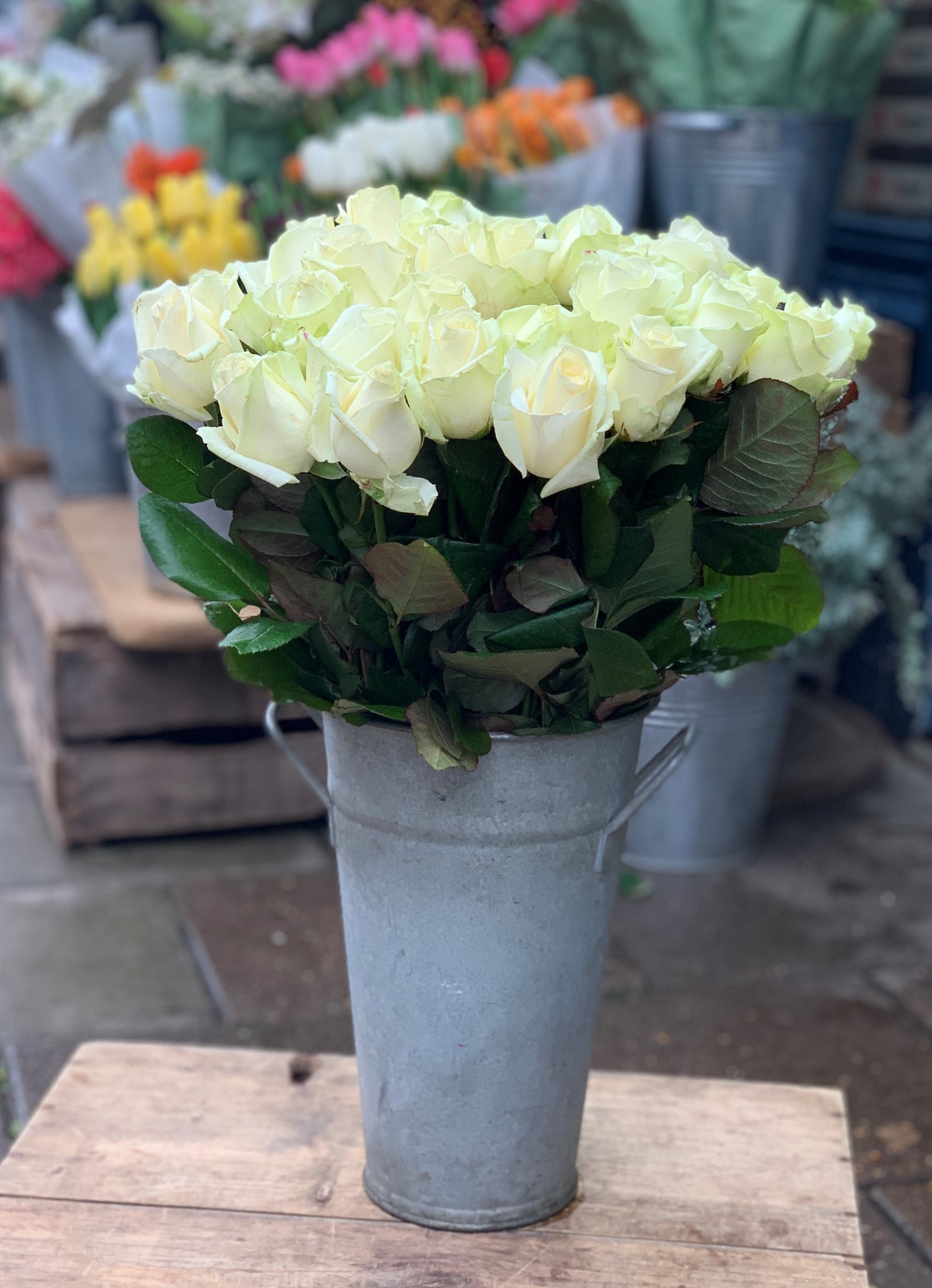 White roses