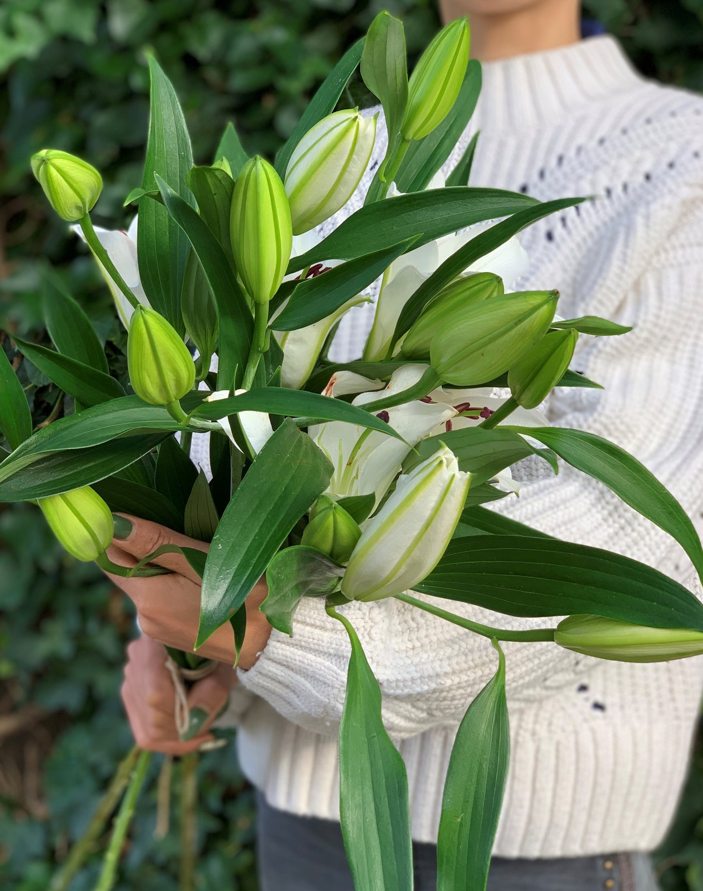 Winter White Lilies
