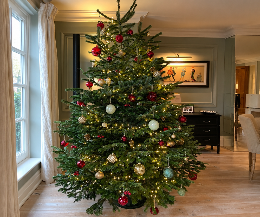 Jamie Grant's decorated real Christmas tree at home