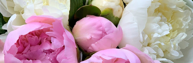 Peonies are in.