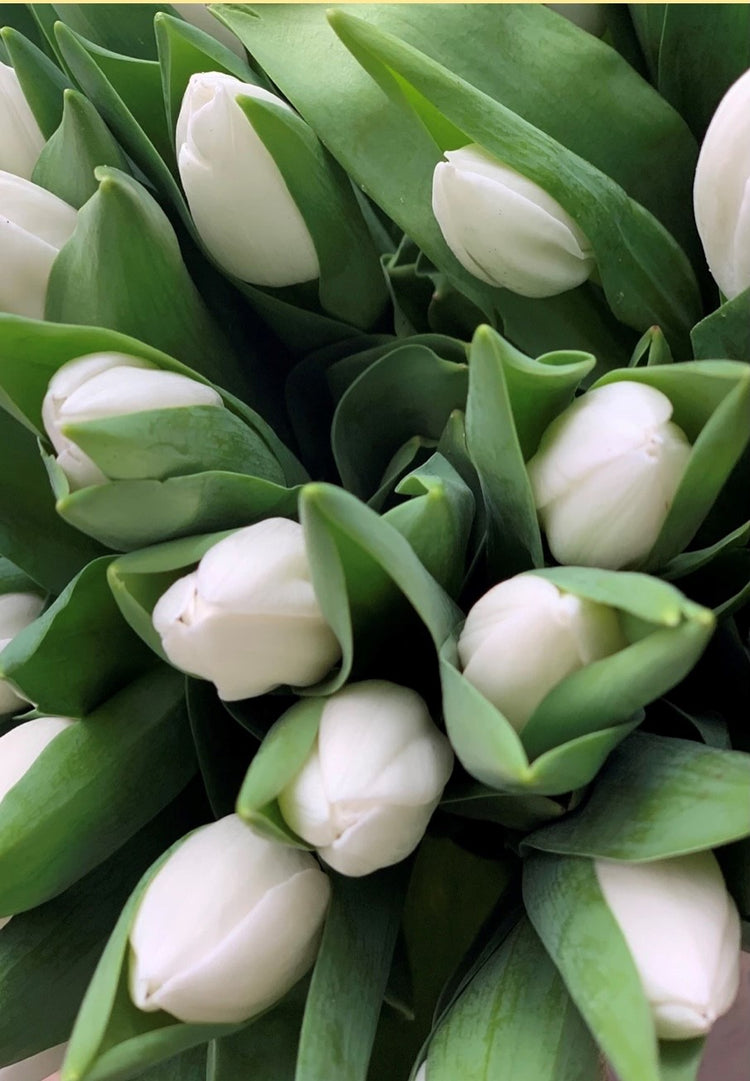 White & Green flowers