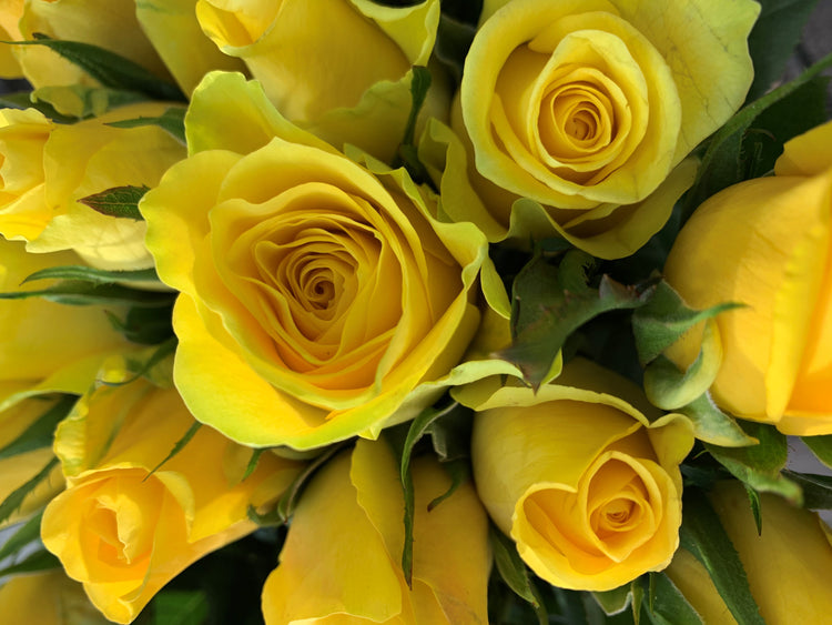 Yellow flowers