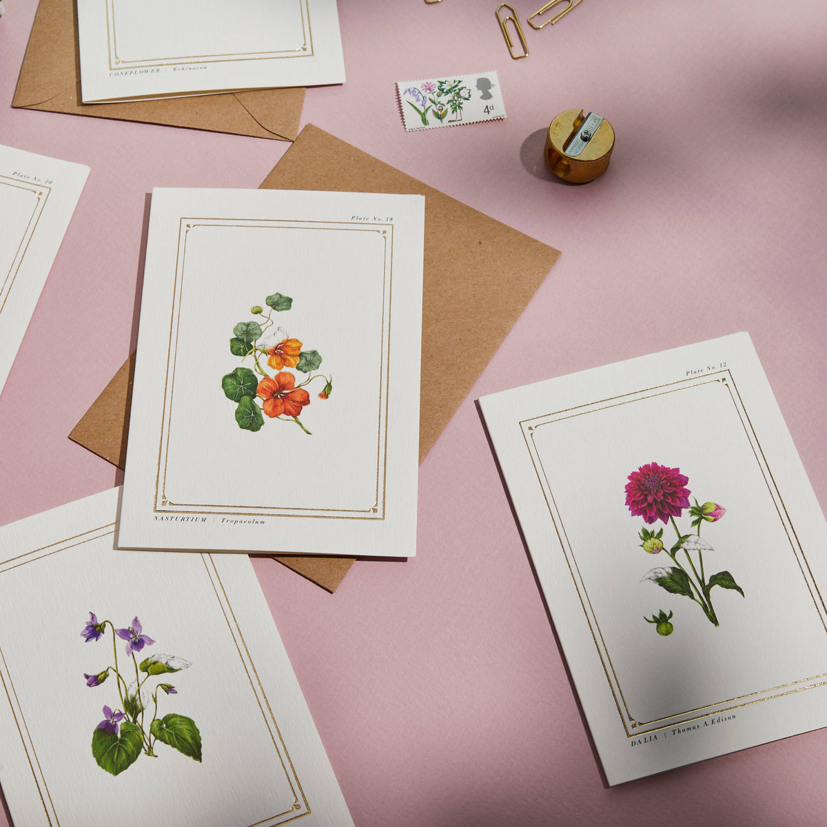 Nasturtium Botanical Card
