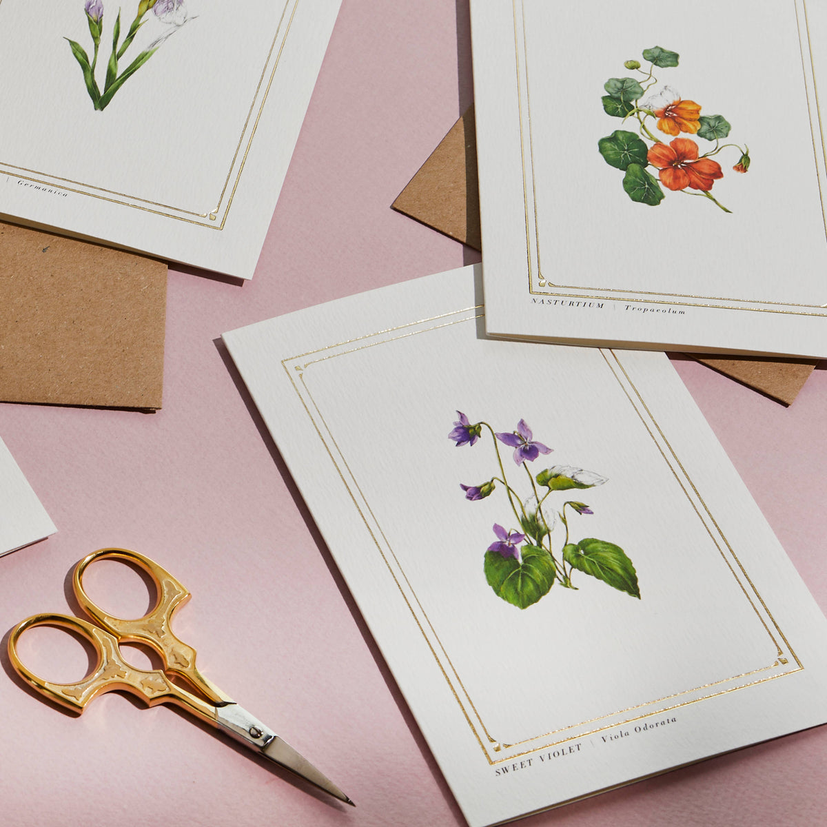 Sweet Violet Botanical Card