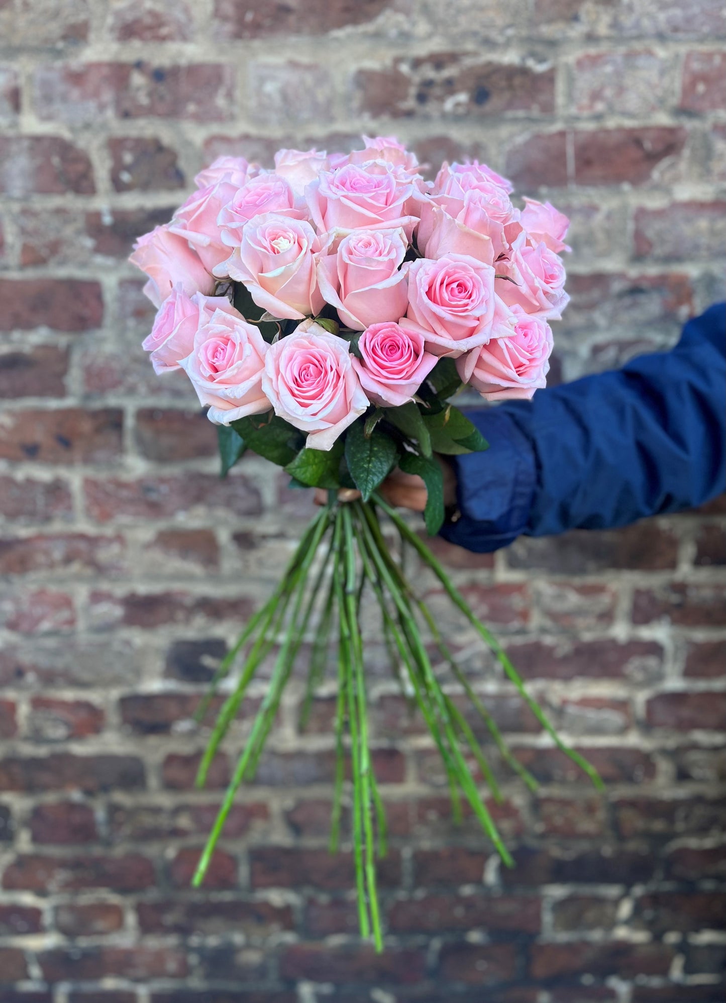 'Be My Valentine' Pink Roses