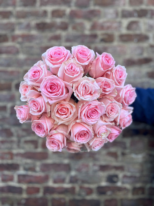 'Be My Valentine' Pink Roses