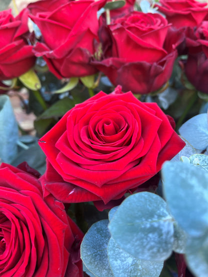 'True Love' Red Roses with Eucalyptus