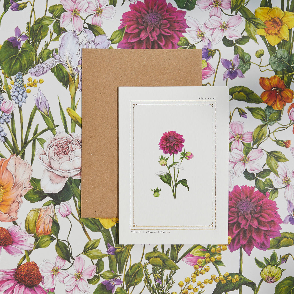 Dahlia Botanical Card