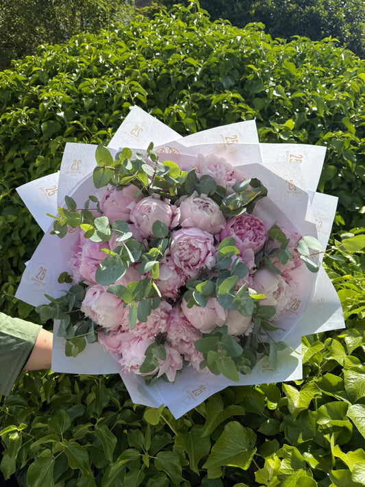Pink Peony Romance