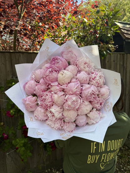 Pink Peony Perfection