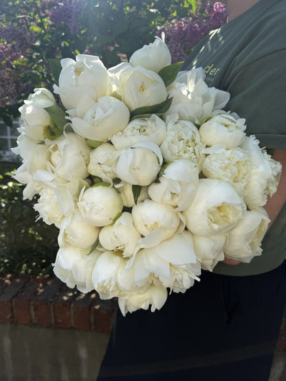 Peony Clouds
