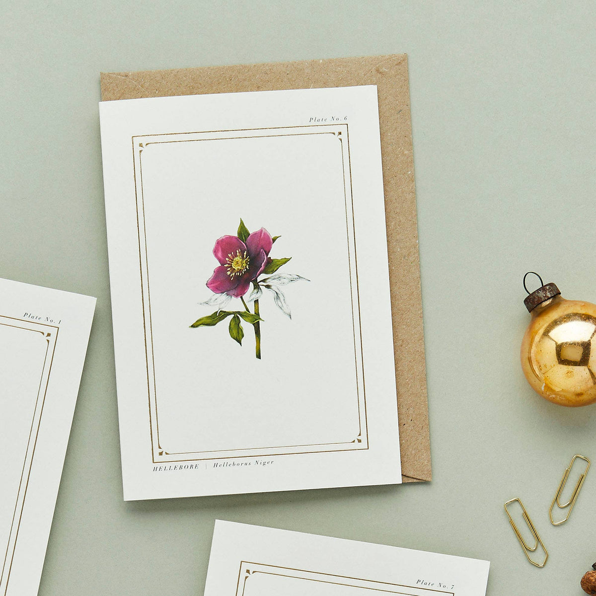 Hellebore Botanical Festive Card