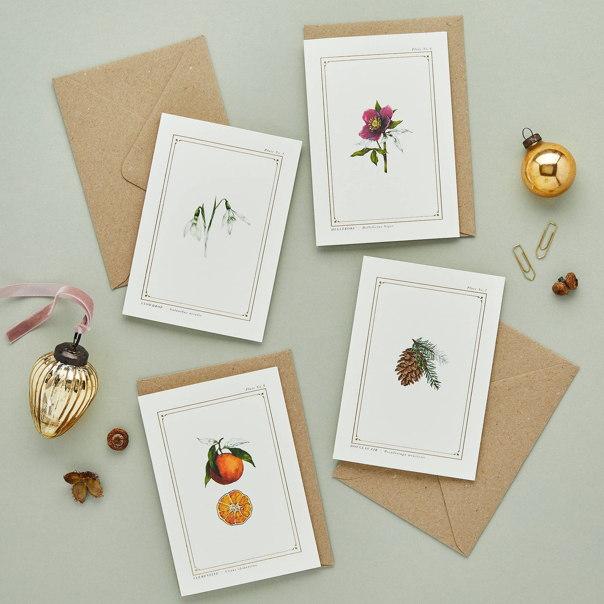 Hellebore Botanical Festive Card