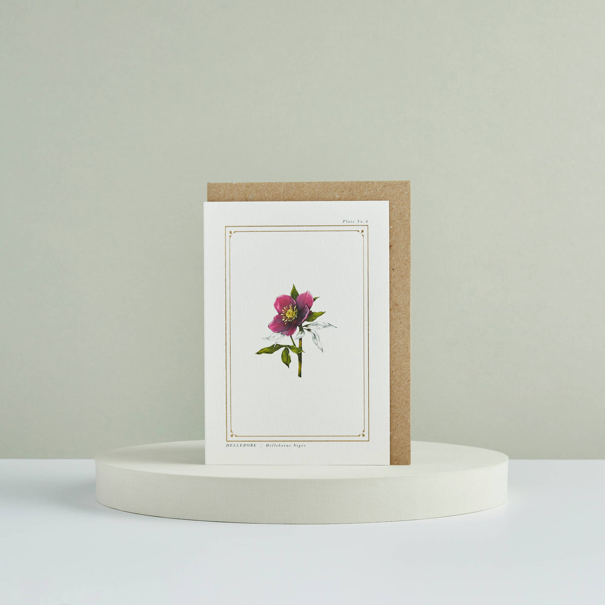 Hellebore Botanical Festive Card