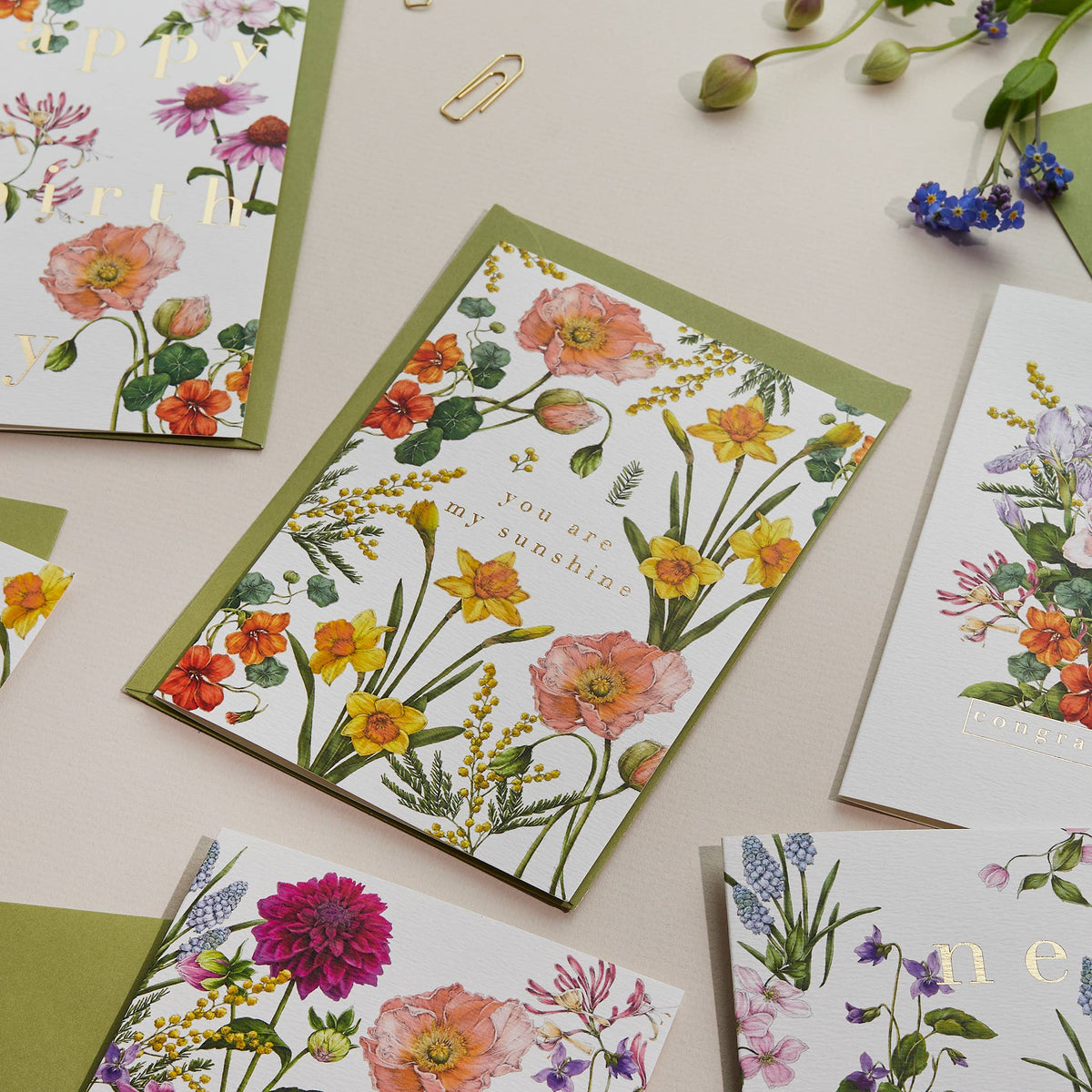 Bountiful Blooms - You Are My Sunshine