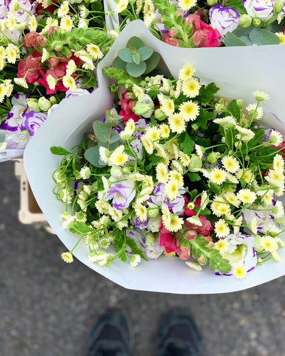 Monthly Flowers - Our pick of the bunch