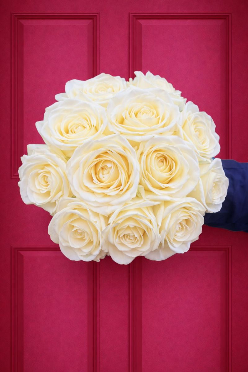 'Pure Love' White Roses