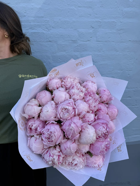 Pink Peony Perfection