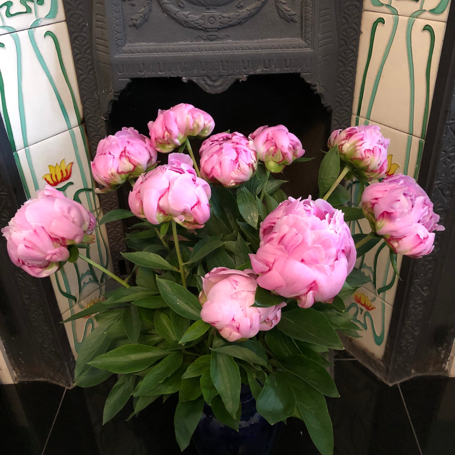 British Sarah Bernhardt Peonies - Special Offer