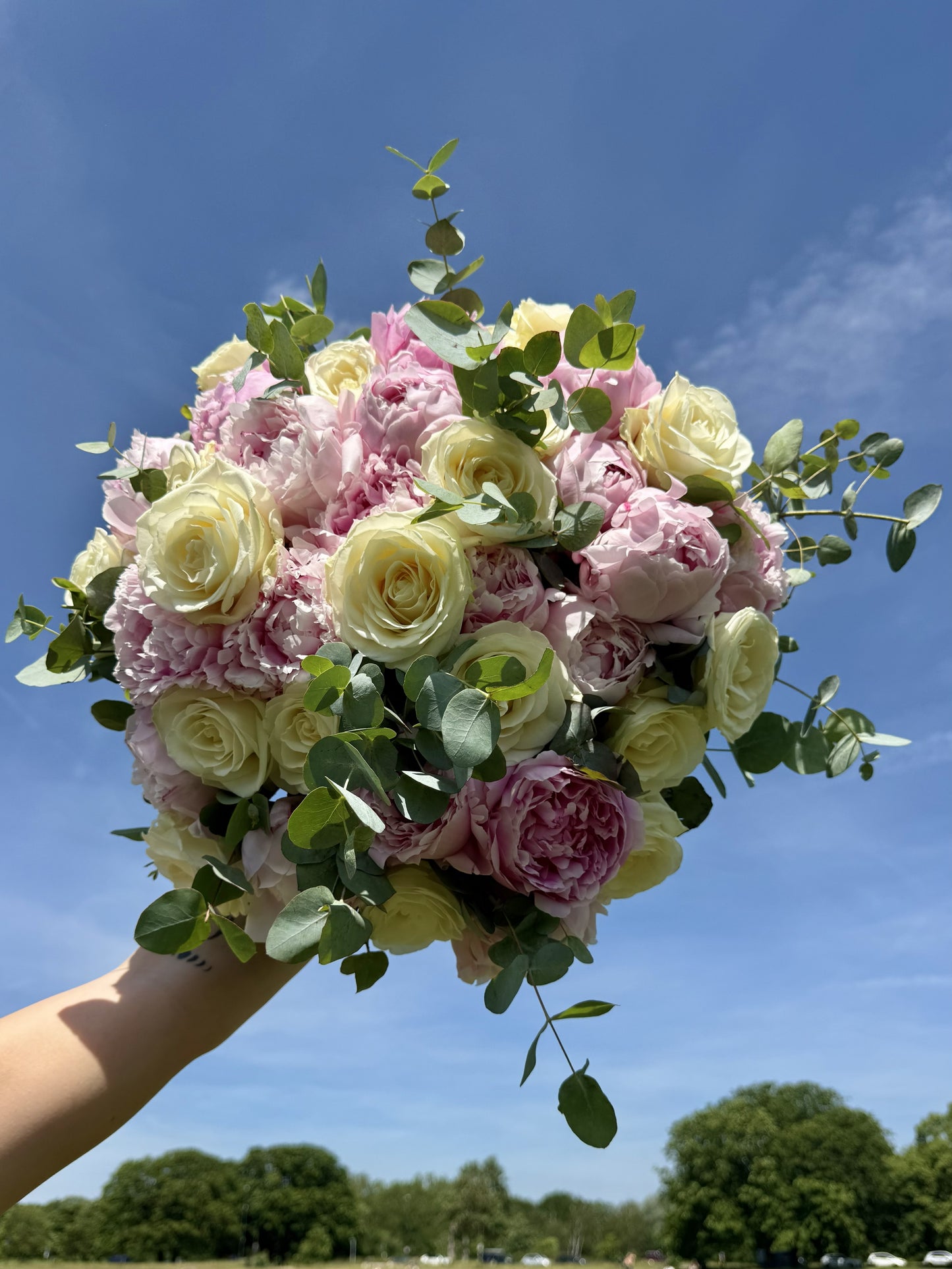 Peony & Rose Garden