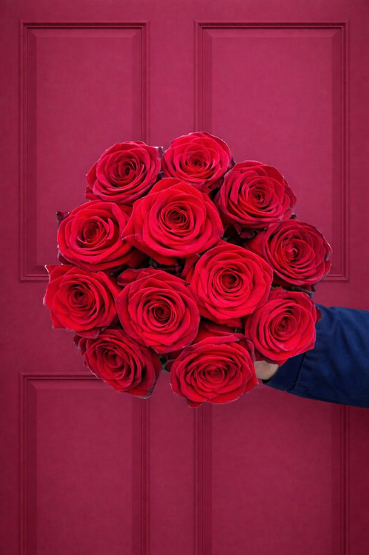 'True Love' Red Roses