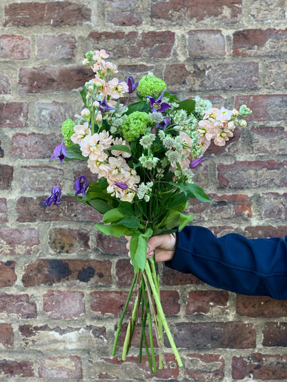 Monthly Flowers - Our pick of the bunch