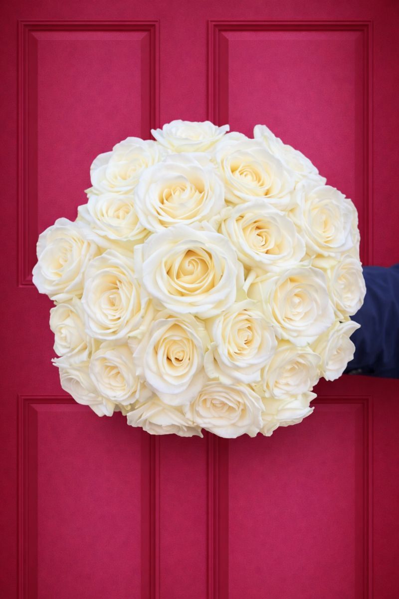 'Pure Love' White Roses