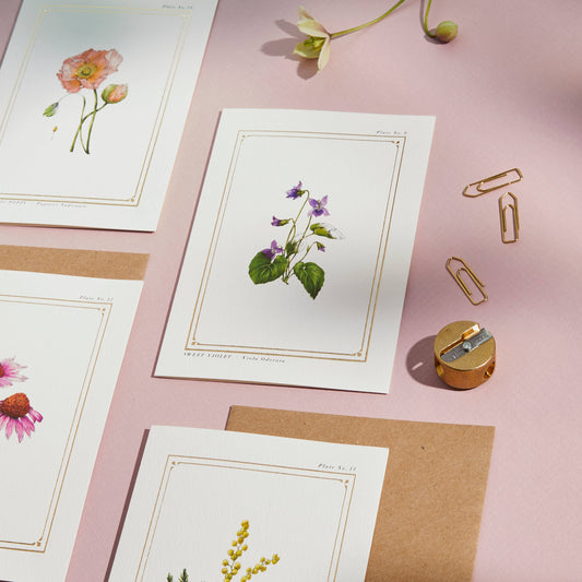 Sweet Violet Botanical Card