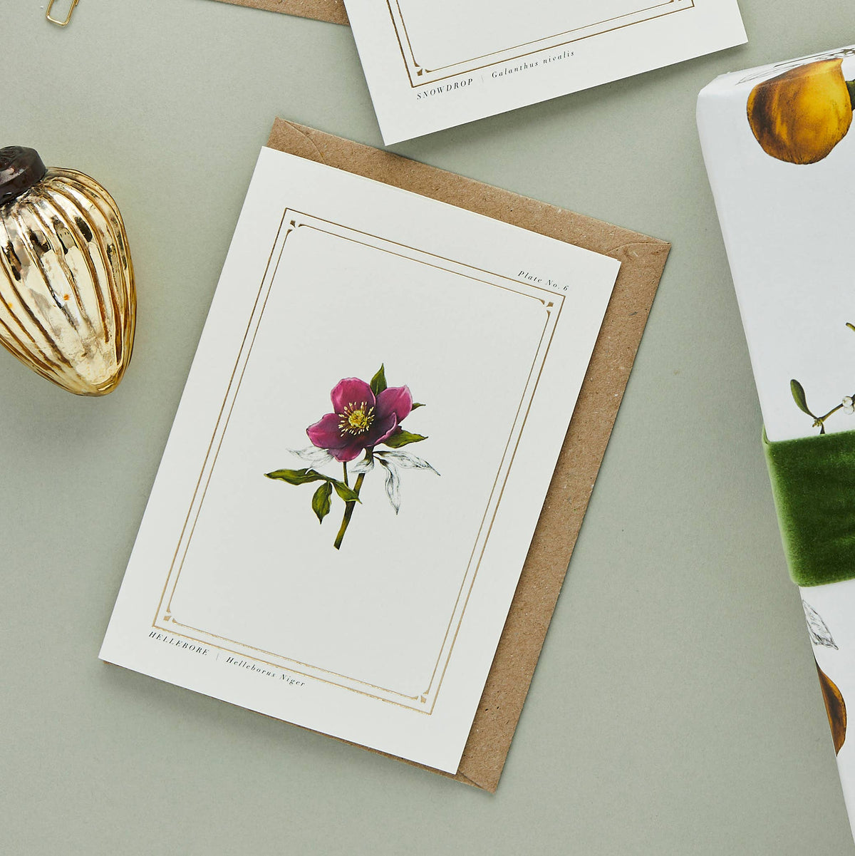 Hellebore Botanical Festive Card