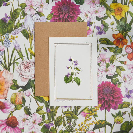 Sweet Violet Botanical Card