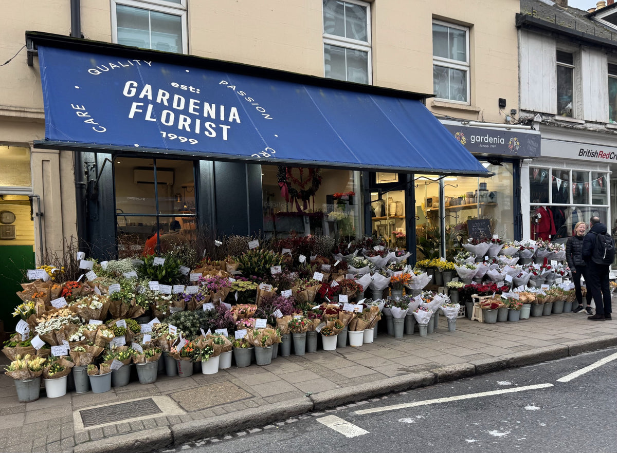 Gardenia of London flower shop in Wimbledon Village